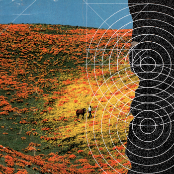 Brendan Brisk - Never Everywhere